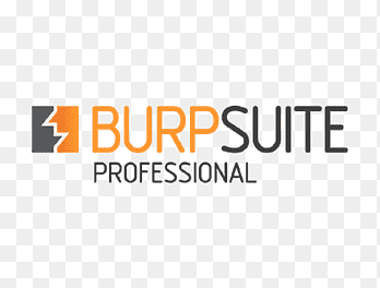 Burpsuite